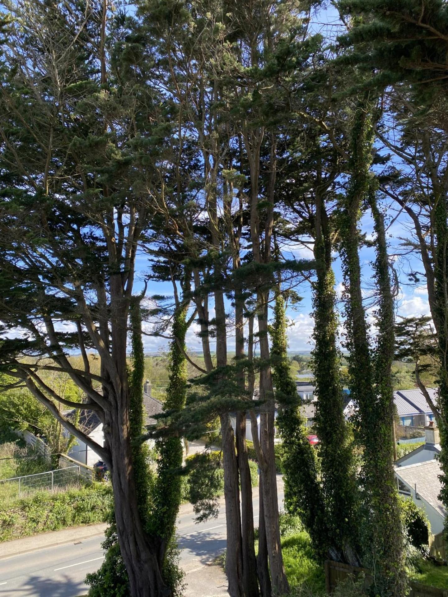 Bryher ウェイドブリッジ エクステリア 写真
